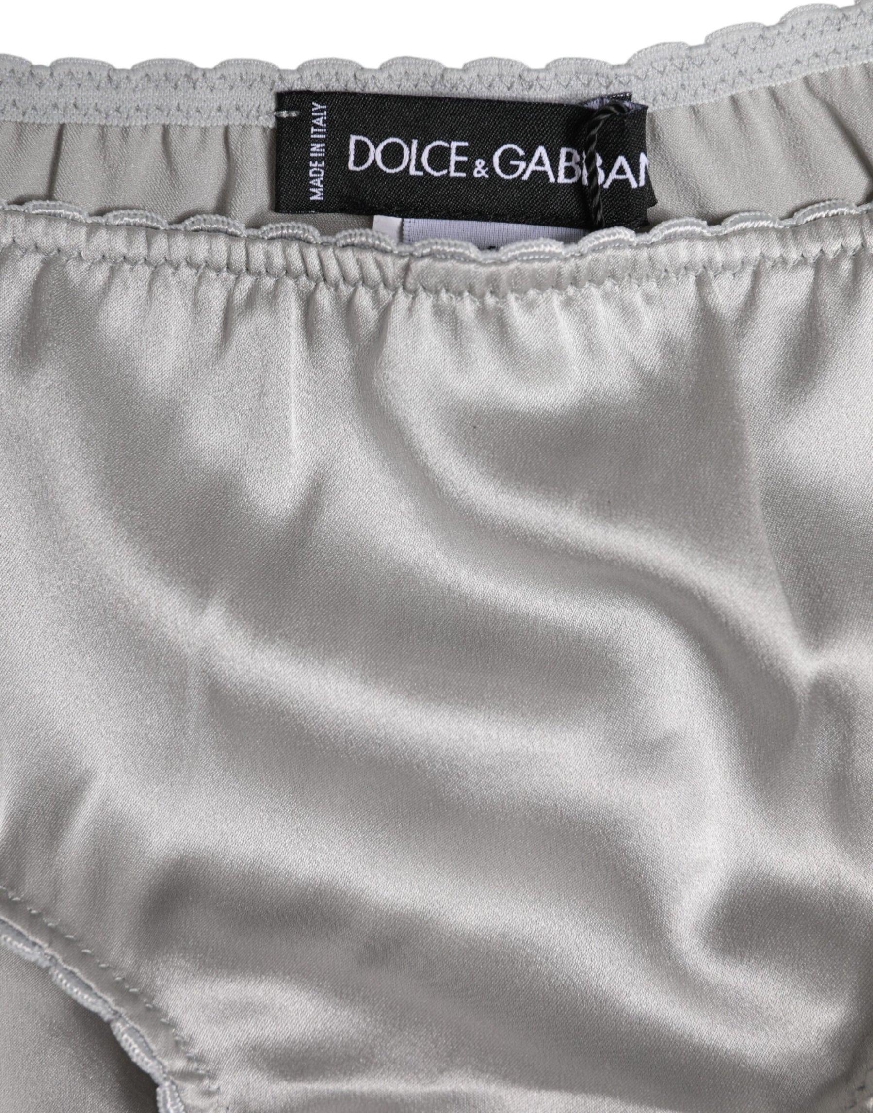 Dolce & Gabbana Gray Silk Stretch Bottom Low Waist Panty Underwear | Regal Royce