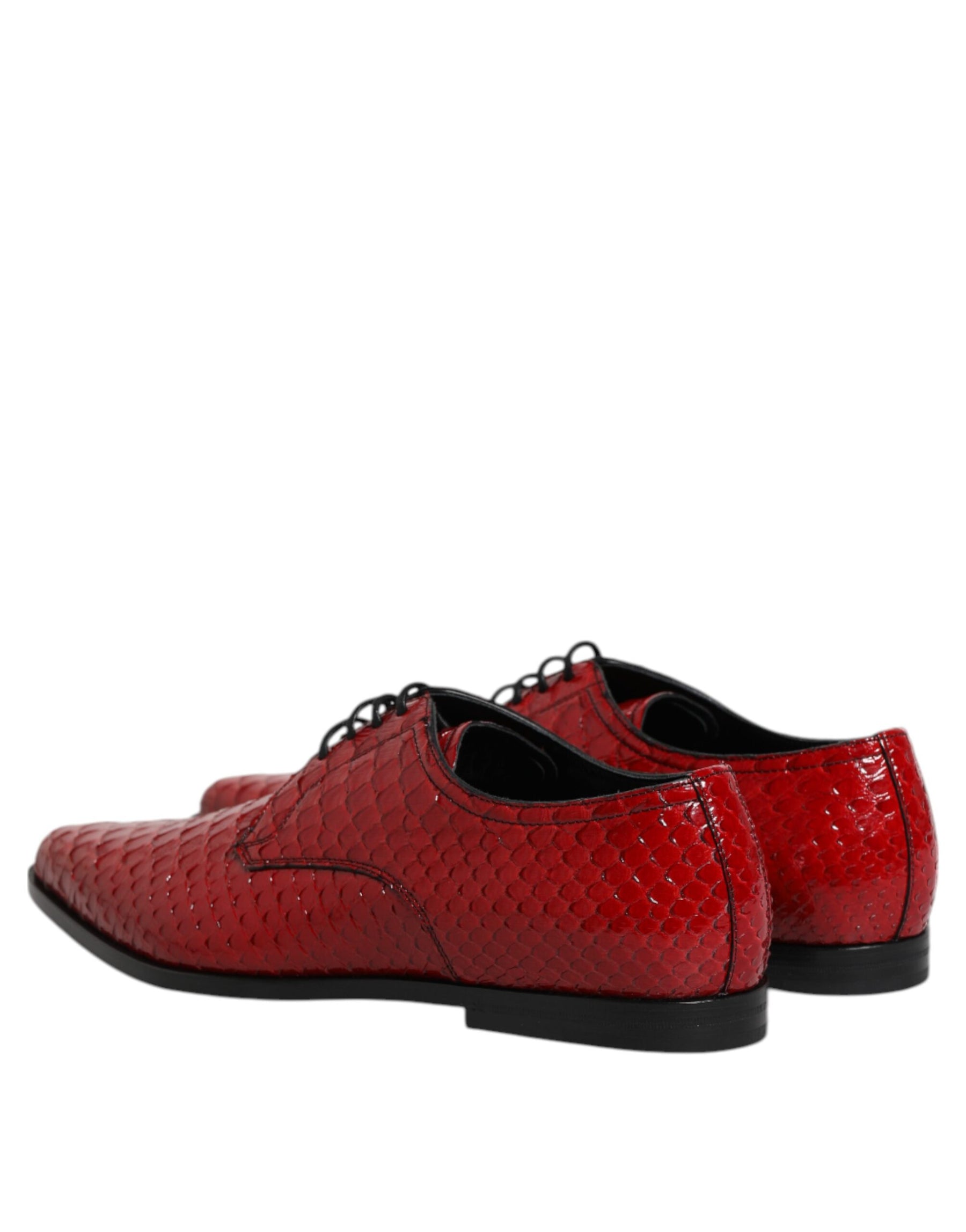 Dolce & Gabbana Red Exotic Leather Lace Up Dress Derby Shoes | Regal Royce
