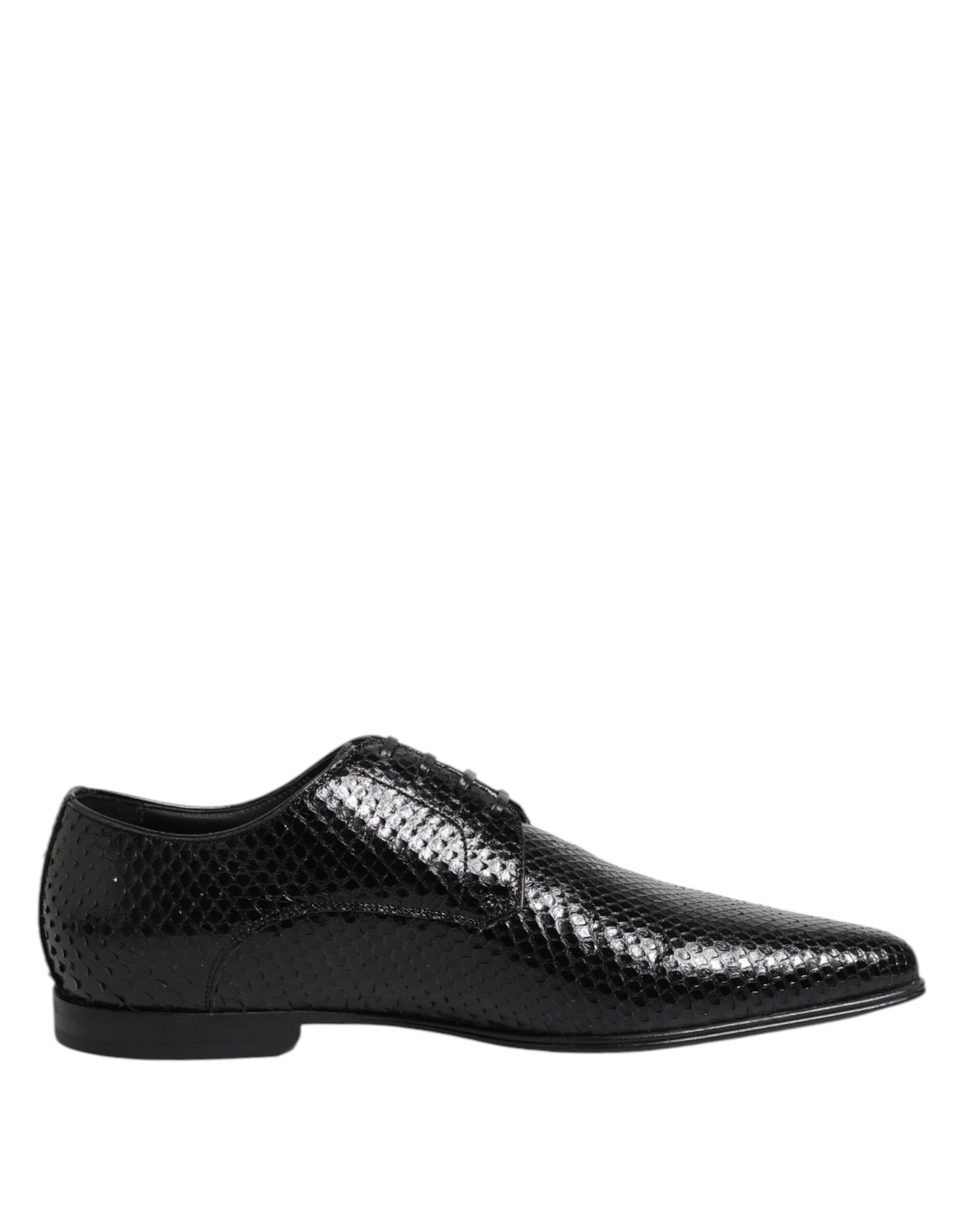 Dolce & Gabbana Black Exotic Leather Lace Up Derby Shoes | Regal Royce