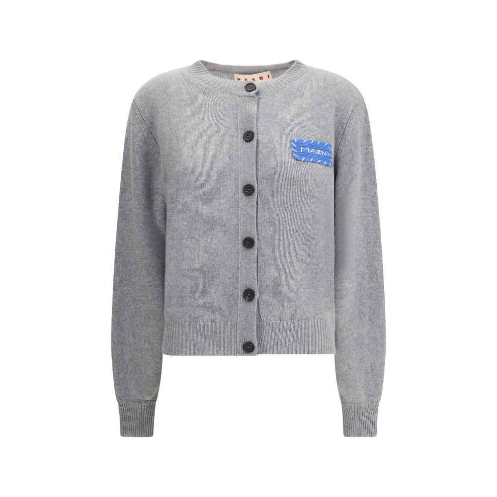 Marni Gray Cashmere Cardigan | Regal Royce