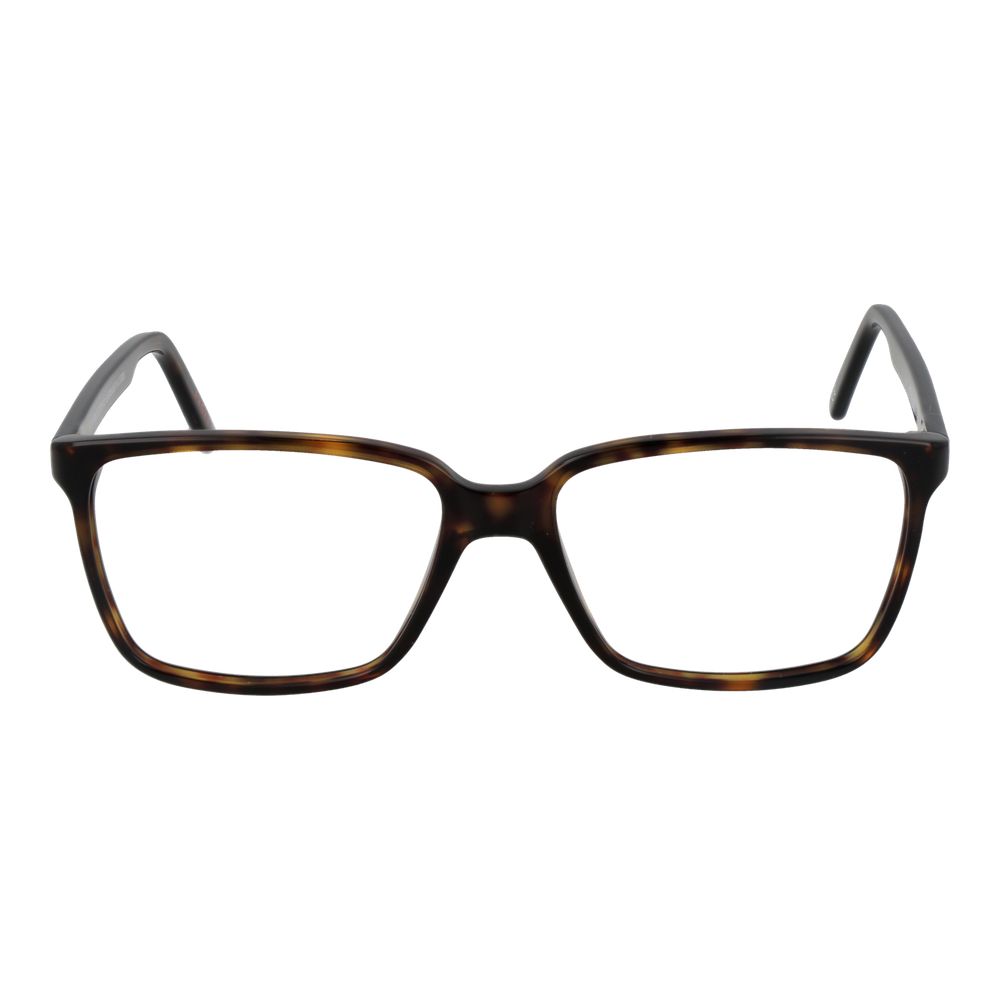 Andy Wolf Brown Acetate Glasses (Frames) | Regal Royce