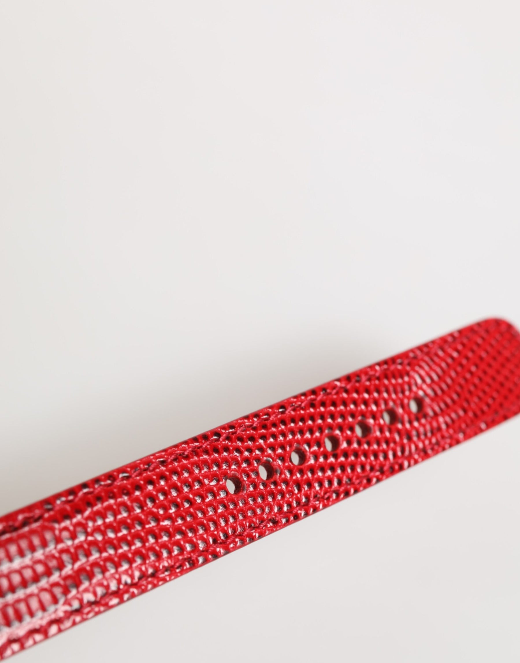 Dolce & Gabbana Red Exotic Leather Gold Tone Metal Buckle Women Armband | Regal Royce