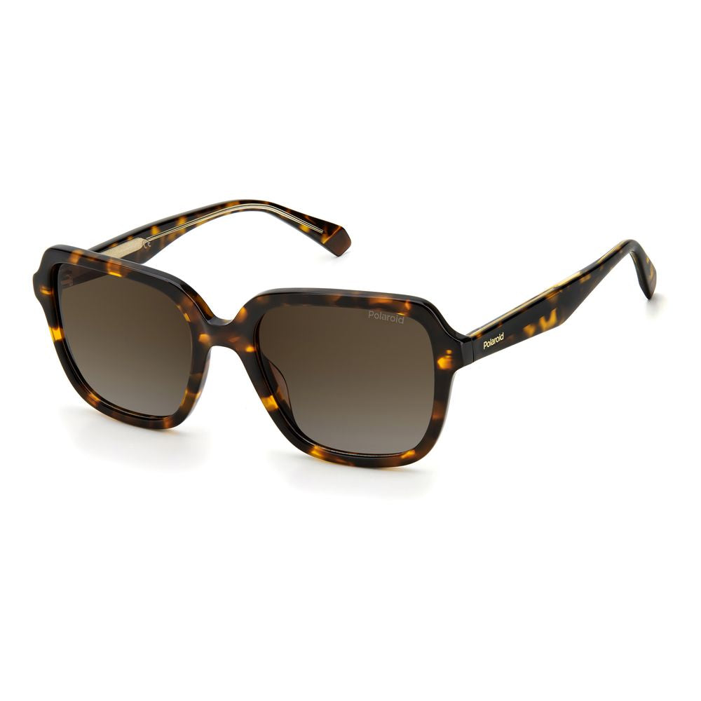 Polaroid Brown Acetate Sunglasses | Regal Royce