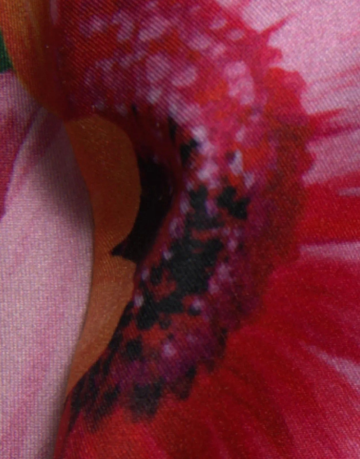 Dolce & Gabbana Multicolor Floral Print Sheath Mini Dress | Regal Royce