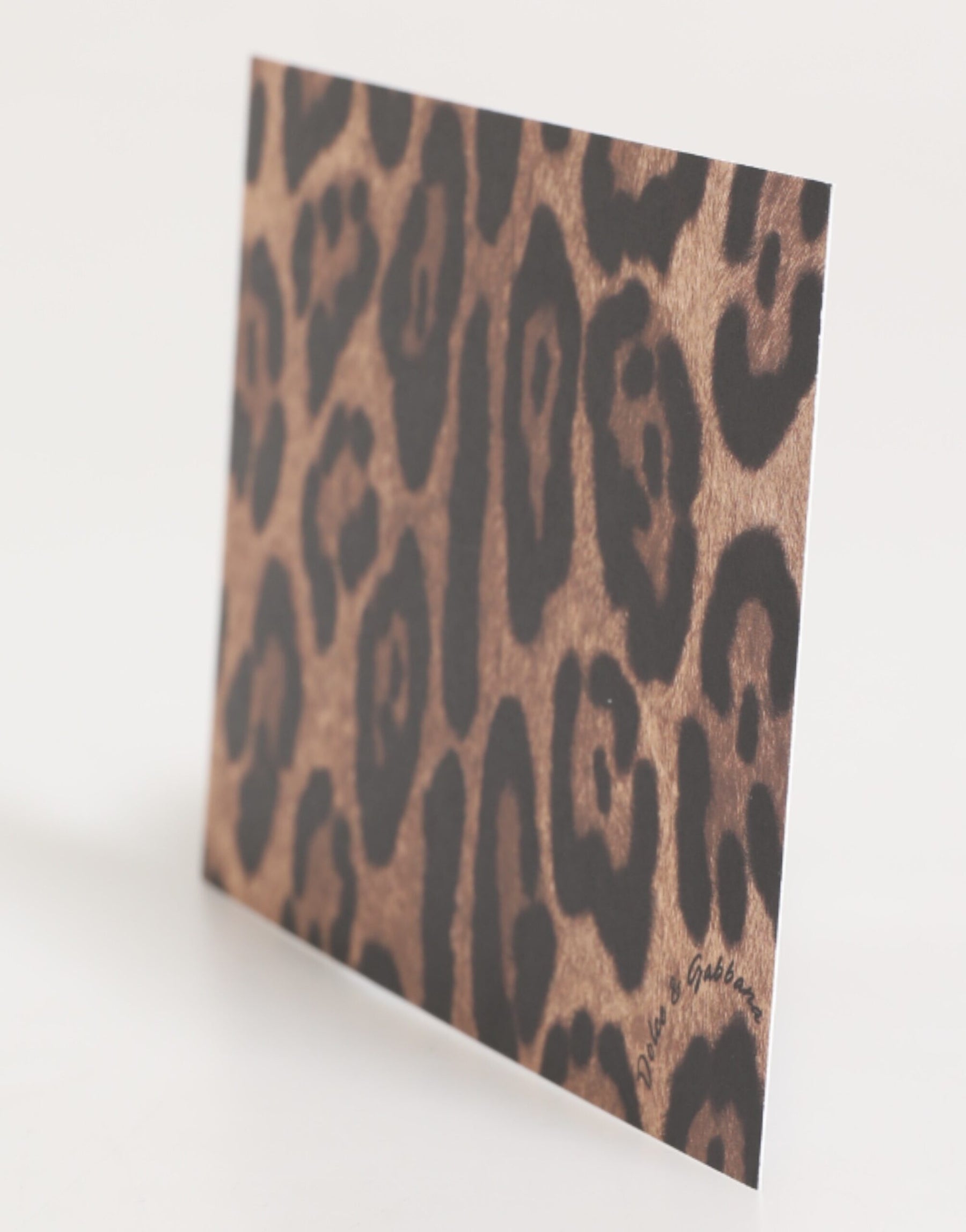 Dolce & Gabbana Multicolor Leopard Print Envelope Paper Post Card Holder | Regal Royce