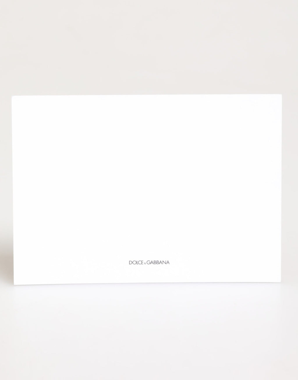 Dolce & Gabbana Multicolor Leopard Print Envelope Paper Post Card Holder