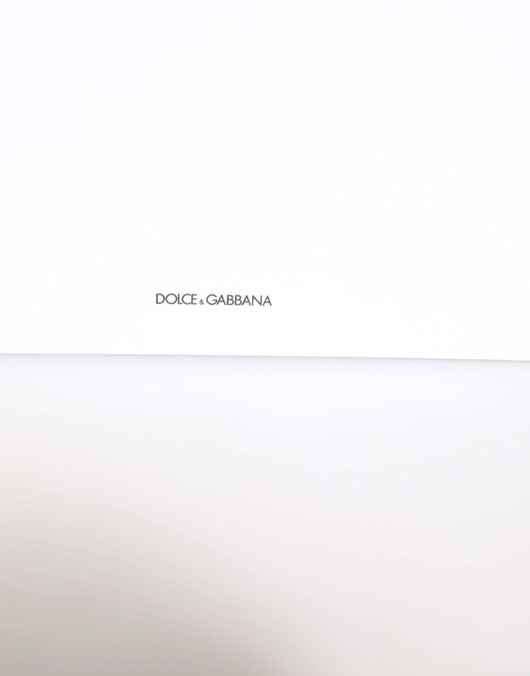 Dolce & Gabbana Multicolor Leopard Print Envelope Paper Post Card Holder | Regal Royce