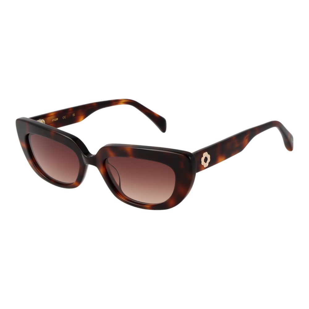 Maje Brown Acetate Sunglasses | Regal Royce