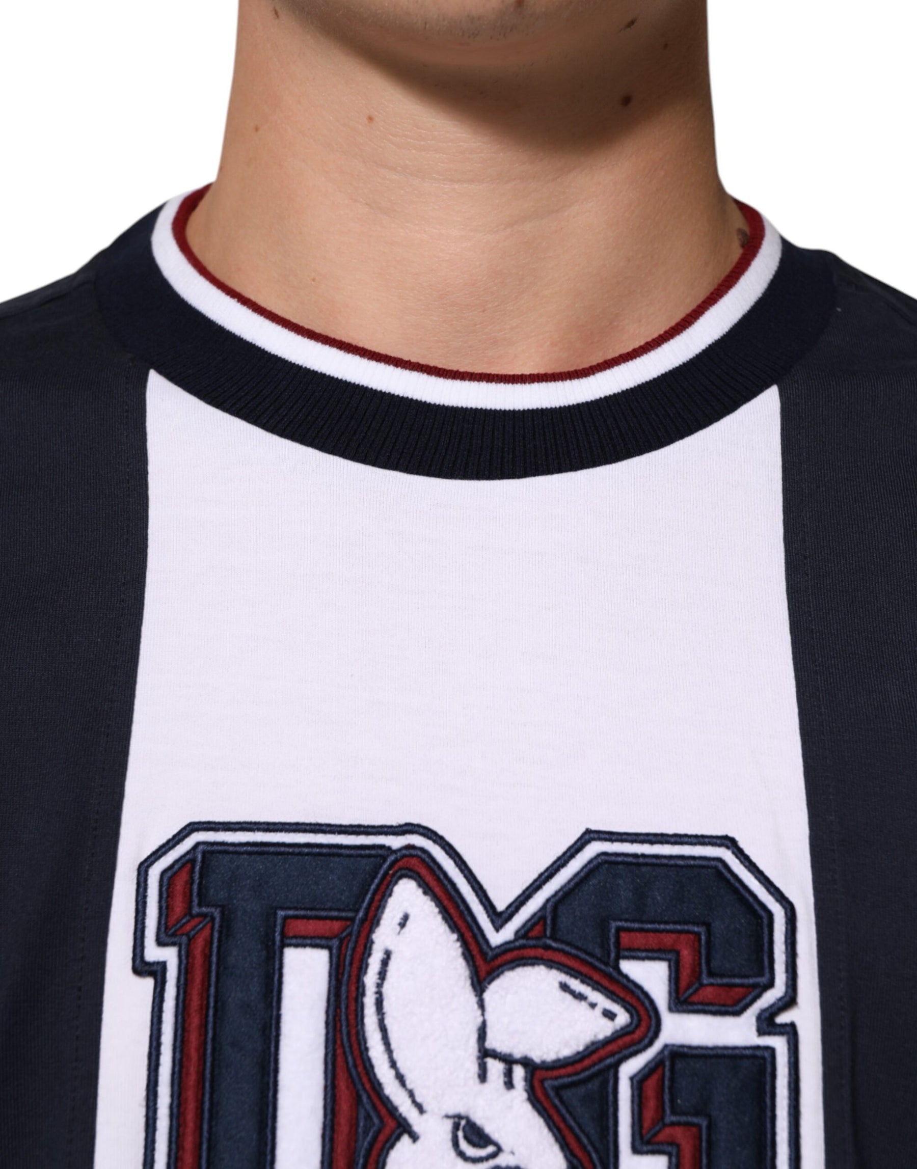 Dolce & Gabbana Multicolor Striped Cotton Men Crew Neck T-shirt | Regal Royce