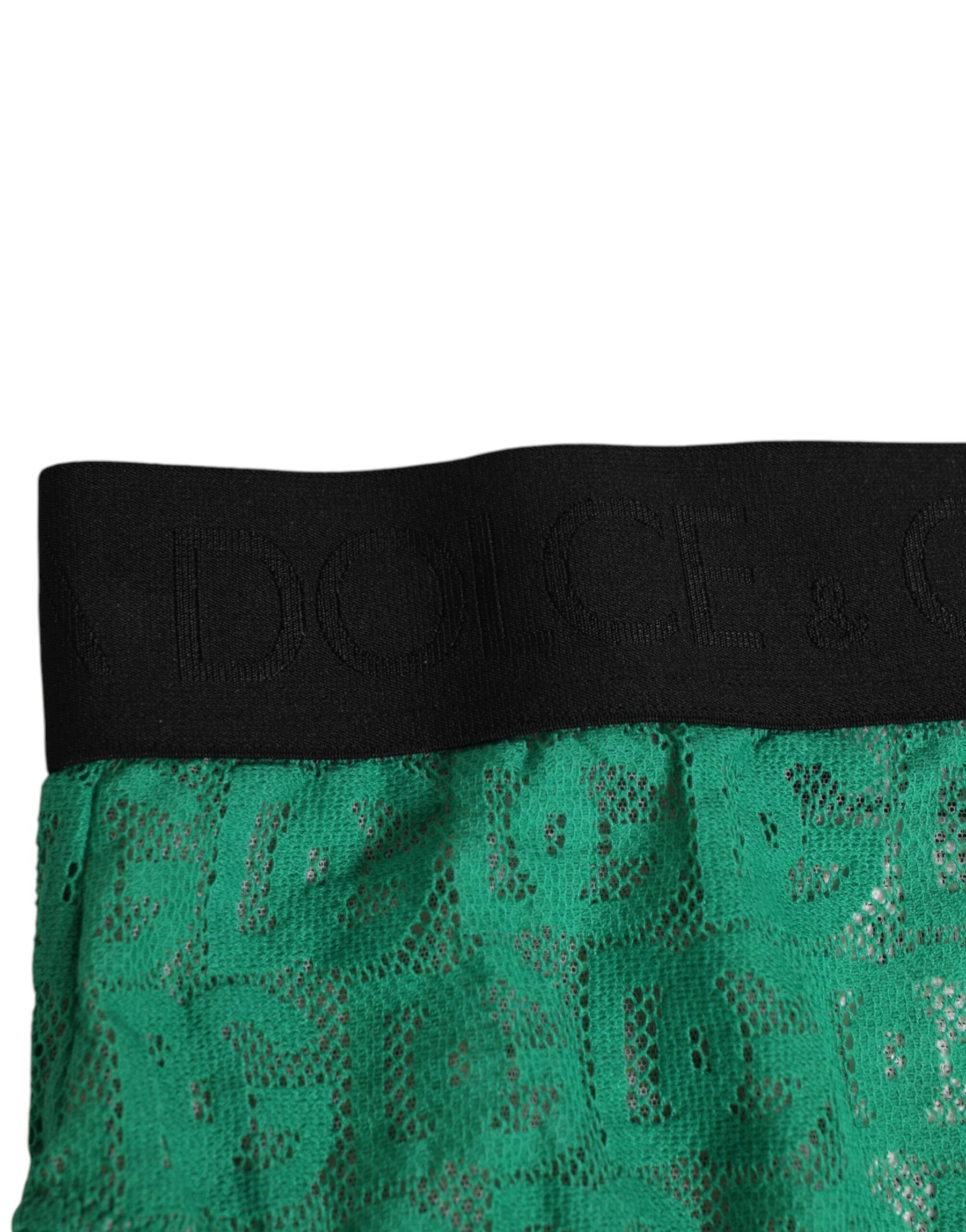 Dolce & Gabbana Green DG Logo Lace High Brief Panty Underwear | Regal Royce