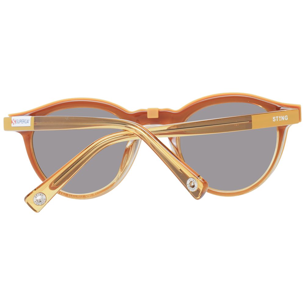 Sting Brown Acetate & Plastic Glasses (Frames) | Regal Royce