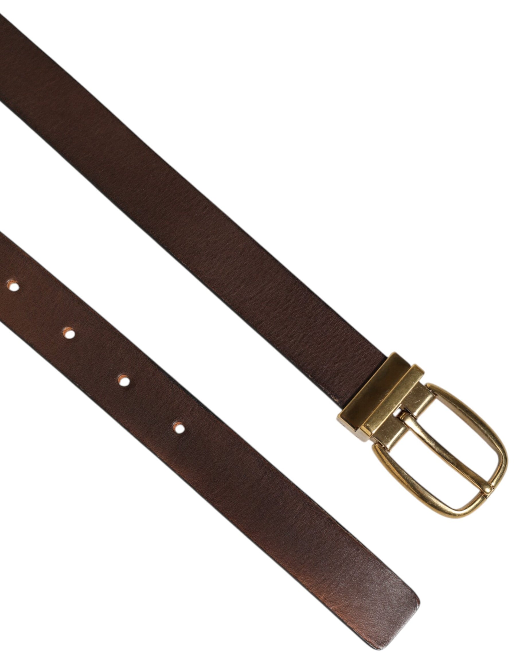Dolce & Gabbana Brown Classic Gold Metal Logo Buckle Men Belt | Regal Royce