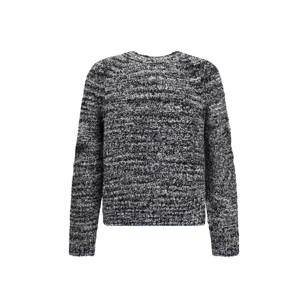 Sunflower Gray Recycled Polyamide Sweatshirt | Regal Royce