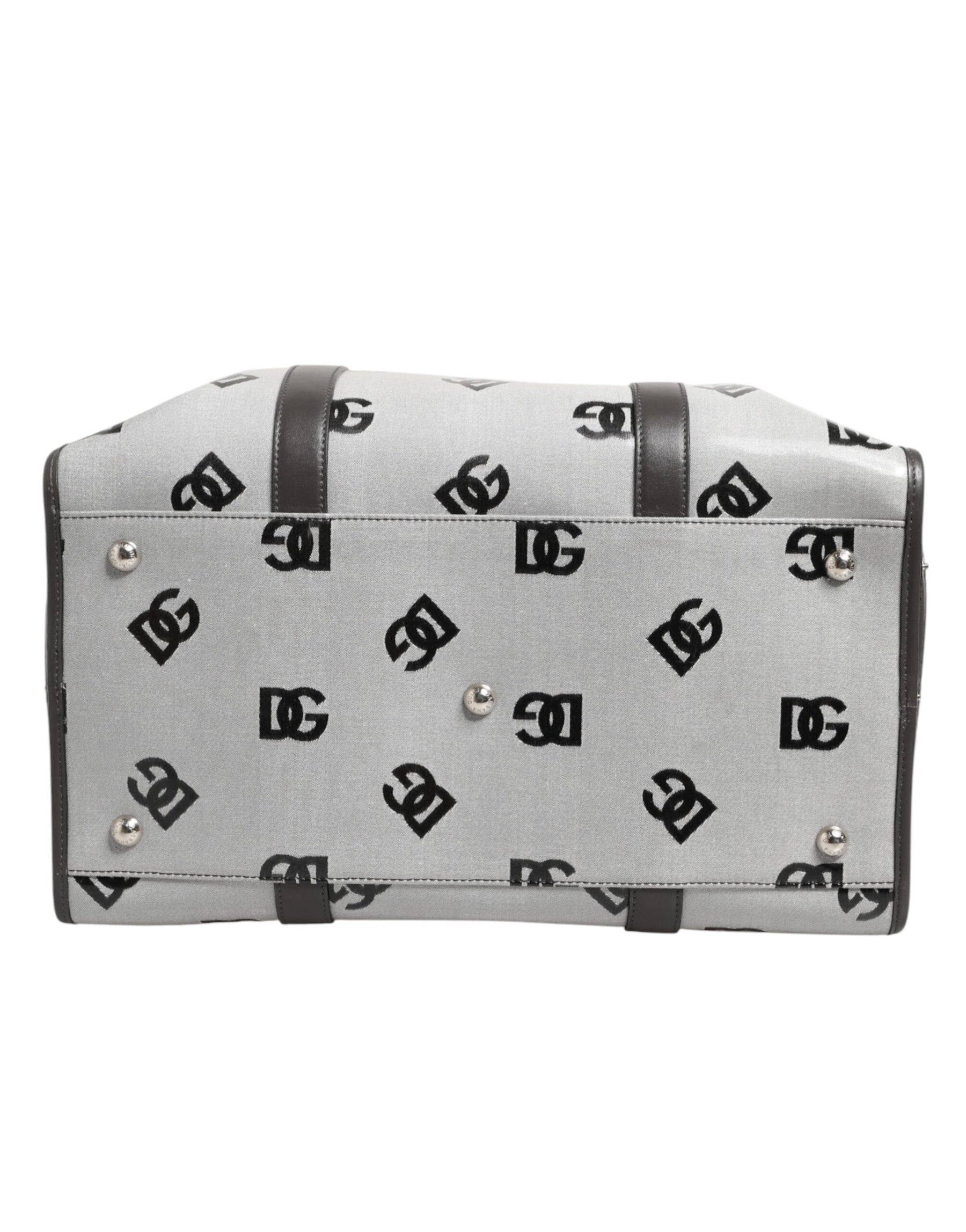 Dolce & Gabbana White DG Logo Pet Carrier Logo Plaque Top Handle Bag | Regal Royce
