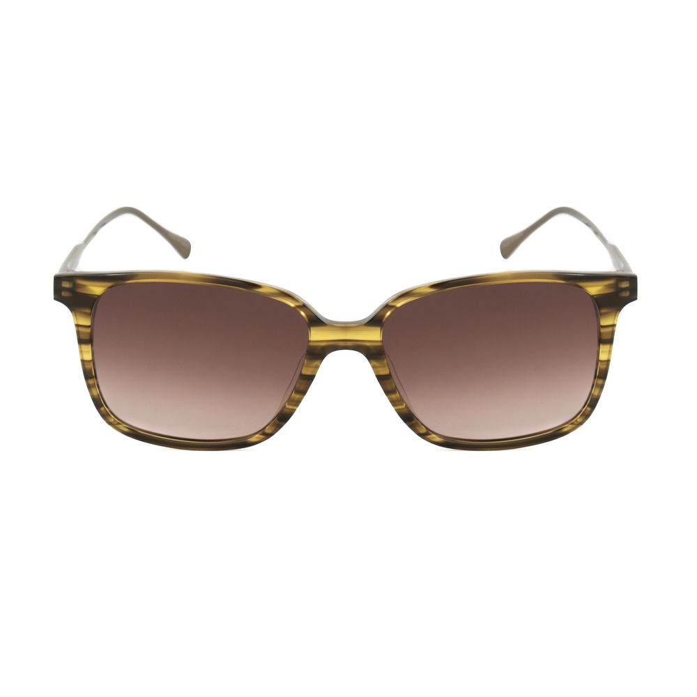 Belstaff Brown Titanium Sunglasses | Regal Royce