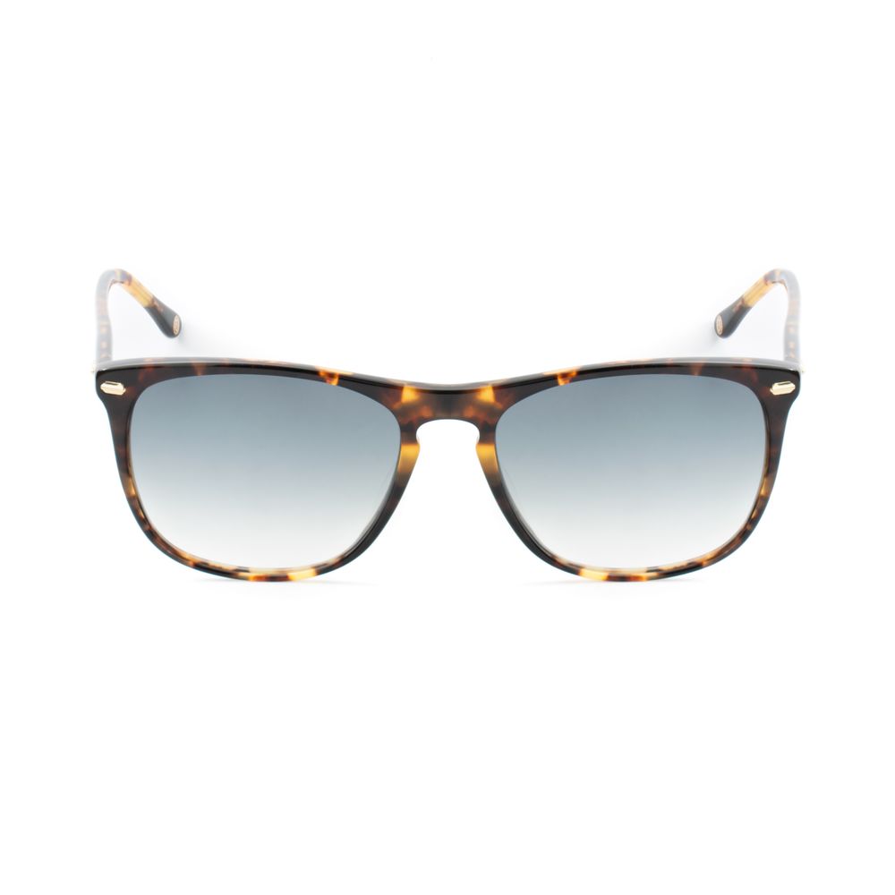 Belstaff Brown Acetate Sunglasses | Regal Royce