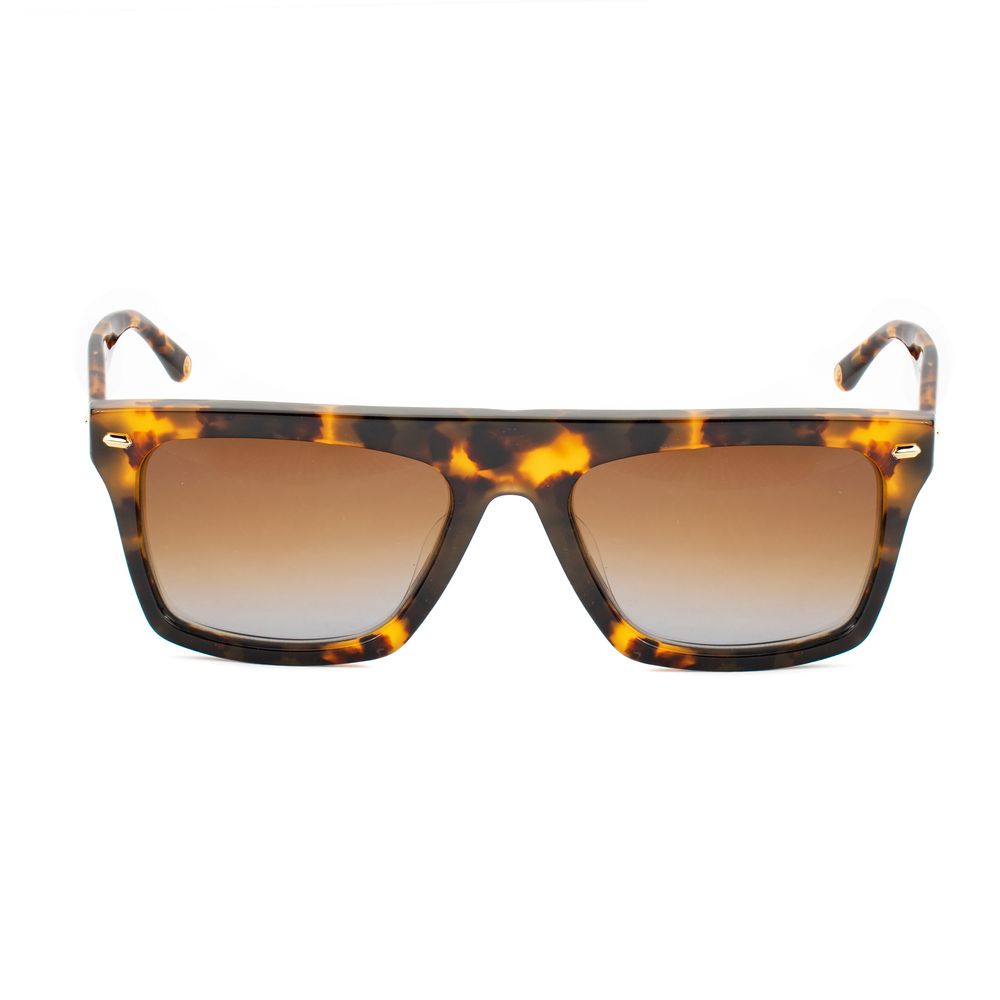 Belstaff Brown Acetate Sunglasses | Regal Royce