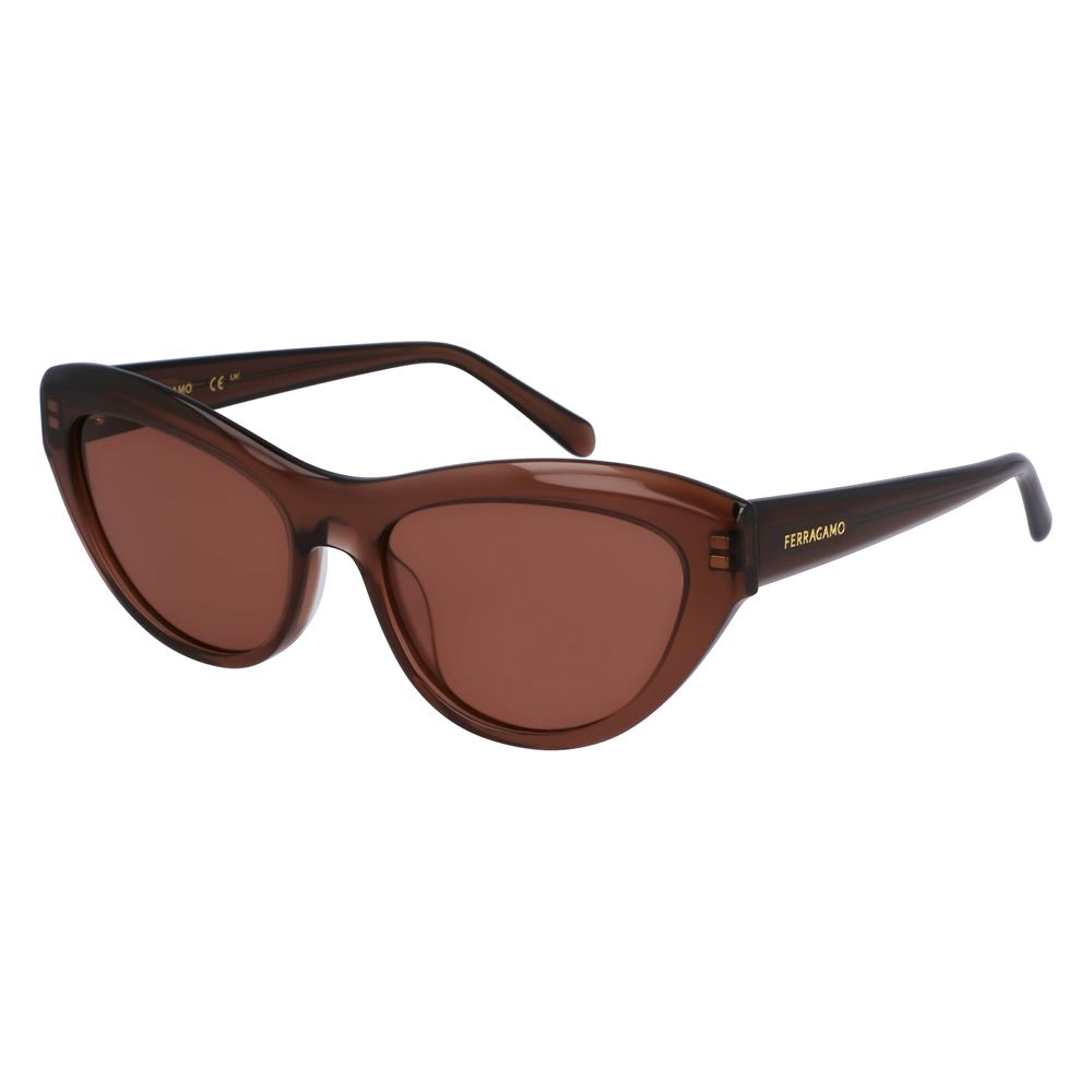 Ferragamo Brown Acetate Sunglasses | Regal Royce