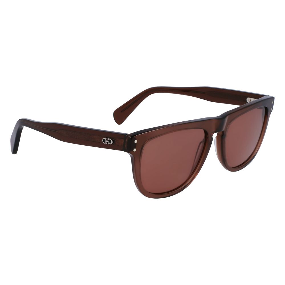 Ferragamo Brown Acetate Sunglasses | Regal Royce