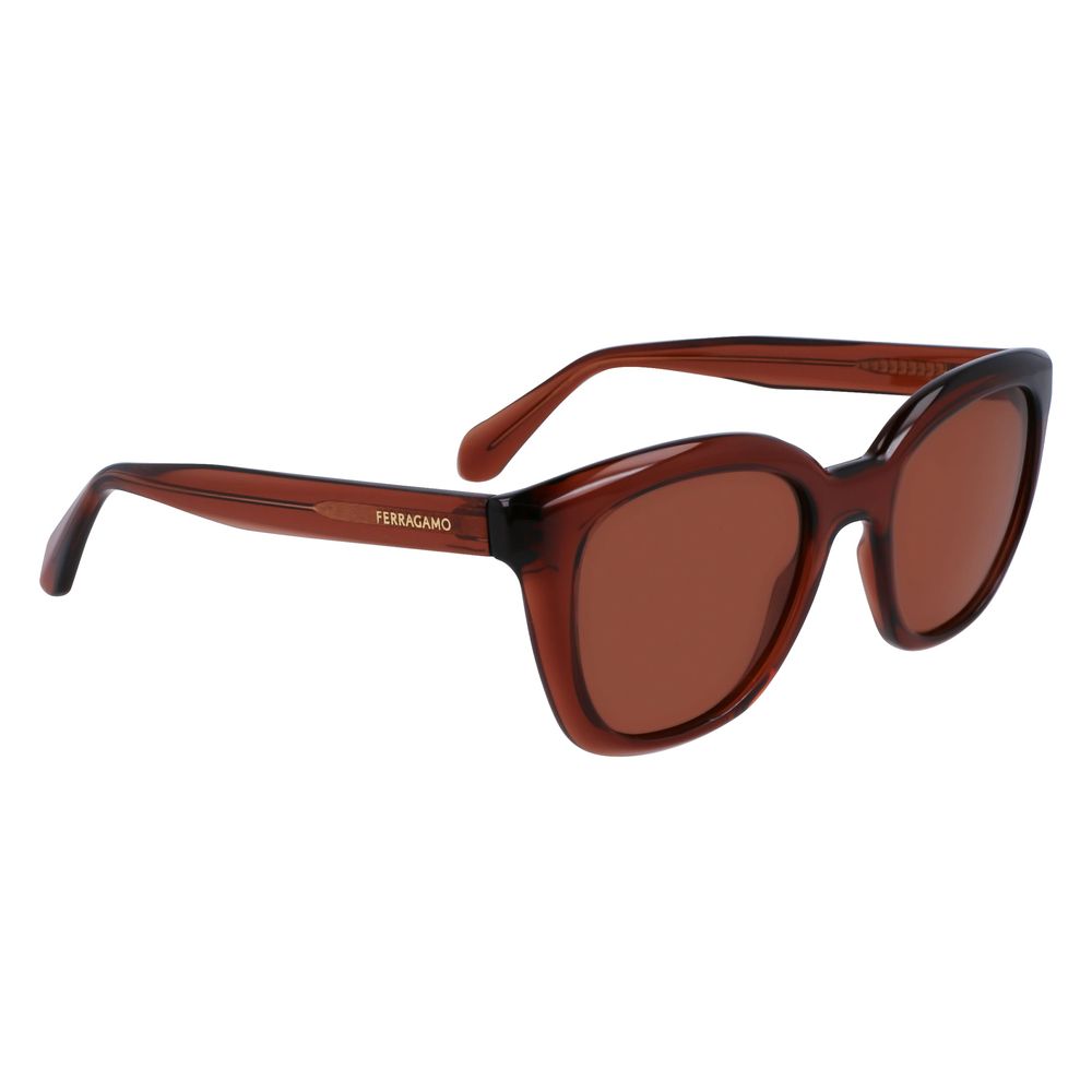Ferragamo Brown Injected Sunglasses | Regal Royce