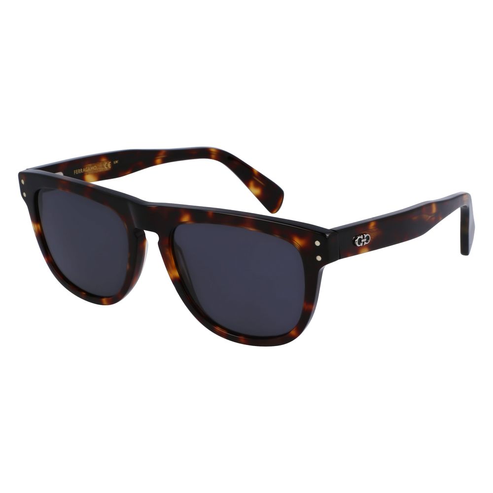 Ferragamo Brown Acetate Sunglasses | Regal Royce