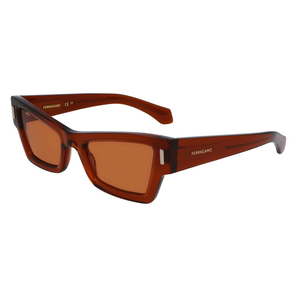 Ferragamo Brown Acetate Sunglasses | Regal Royce