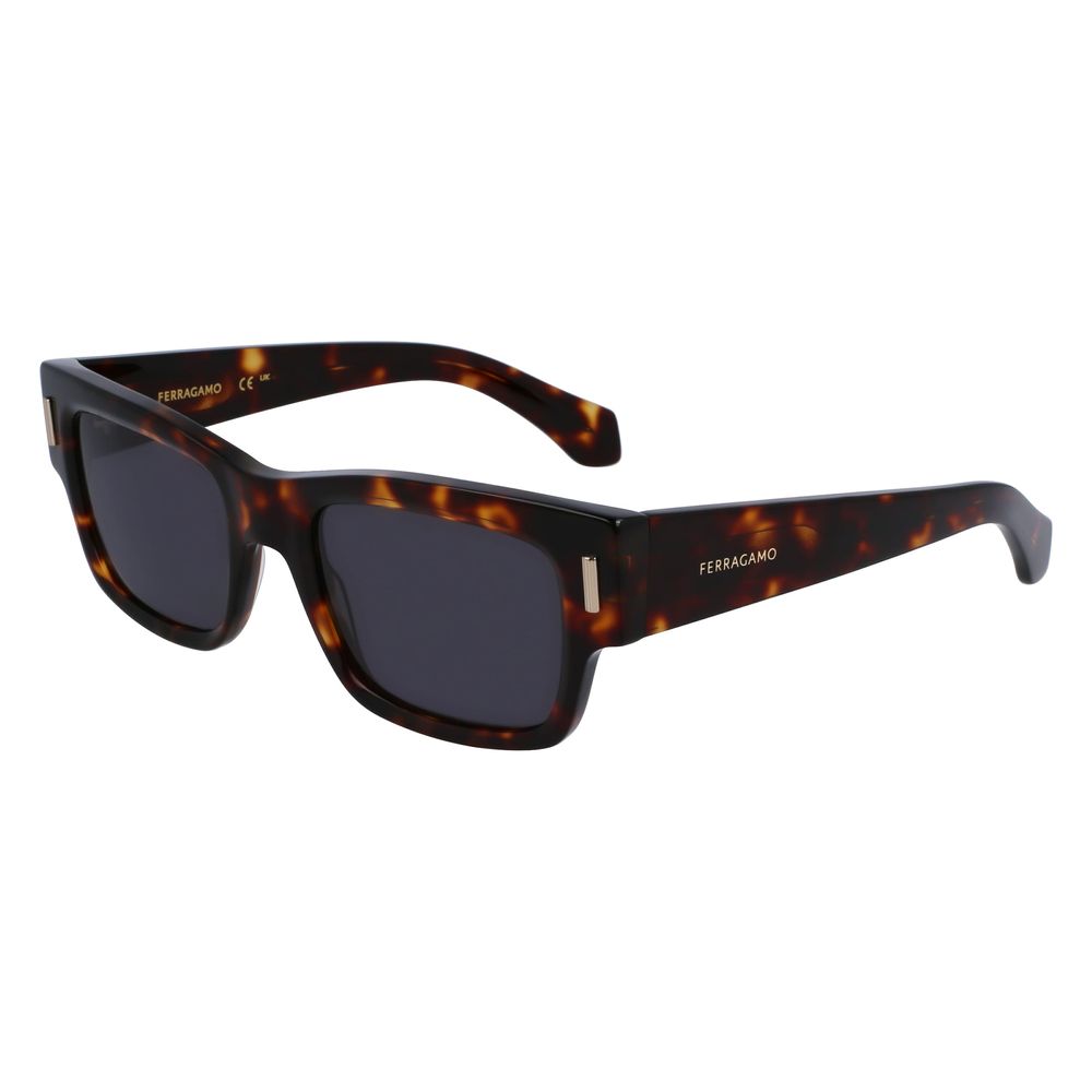 Ferragamo Brown Acetate Sunglasses | Regal Royce