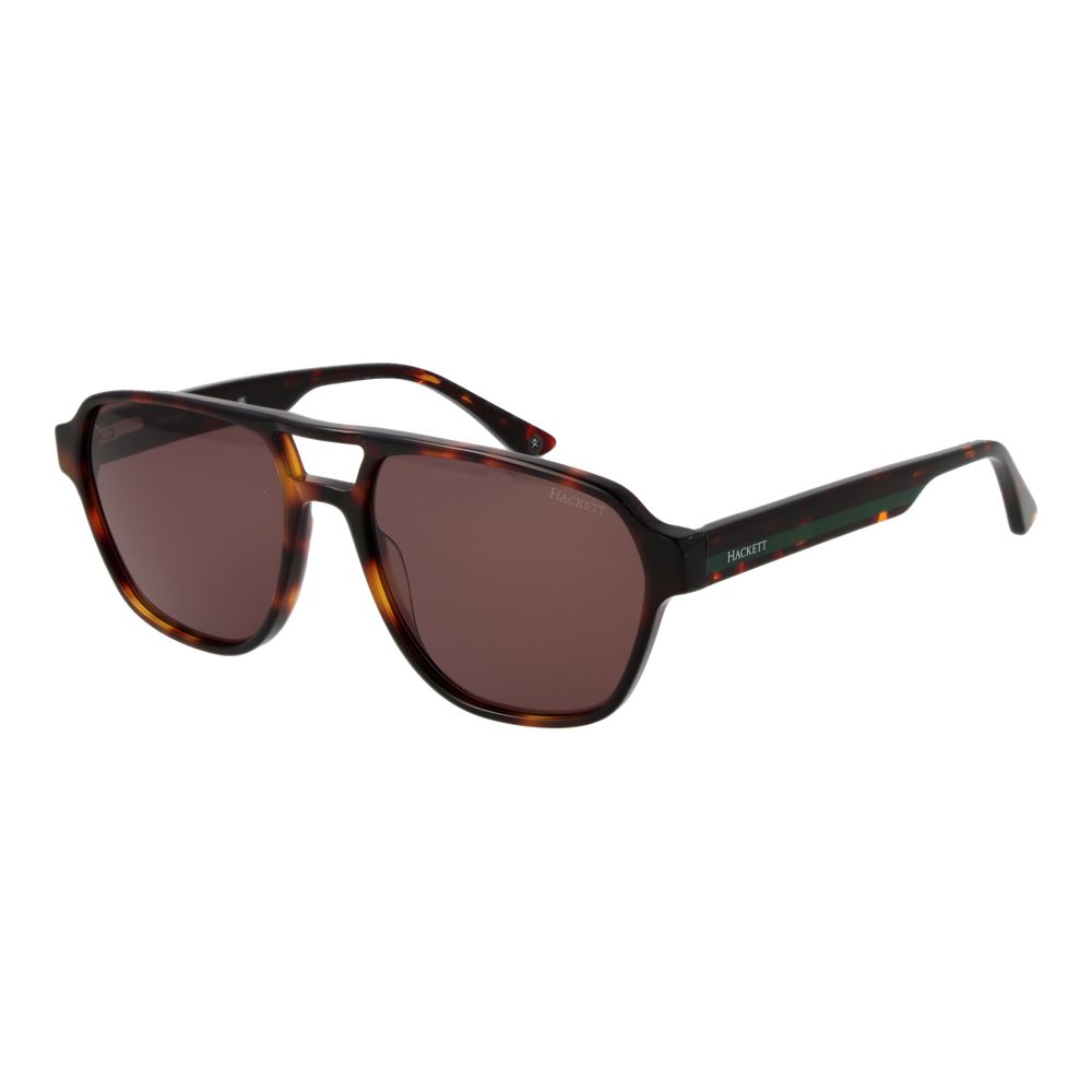 Hackett Brown Acetate Sunglasses | Regal Royce