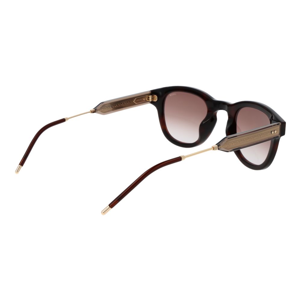 Lozza Brown Cellulose Acetate Sunglasses | Regal Royce