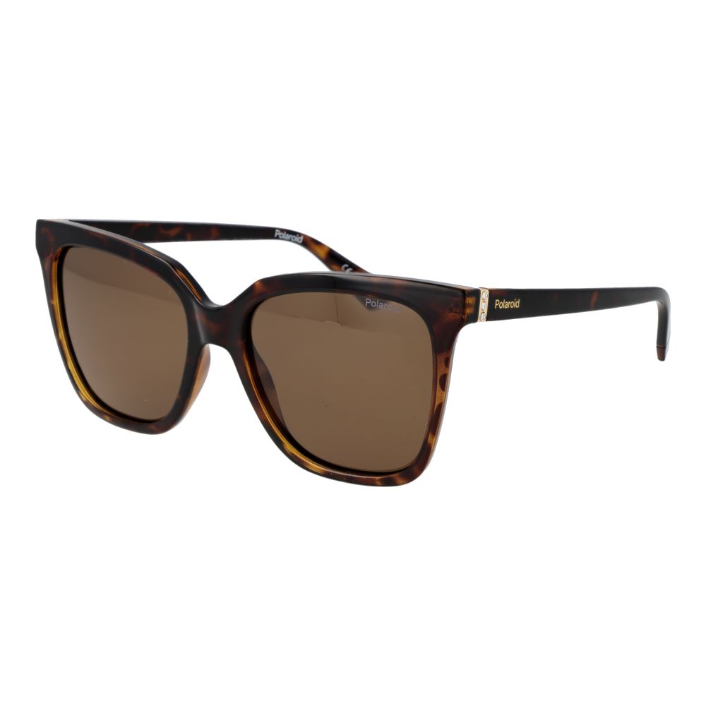 Polaroid Brown Polycarbonate Sunglasses | Regal Royce