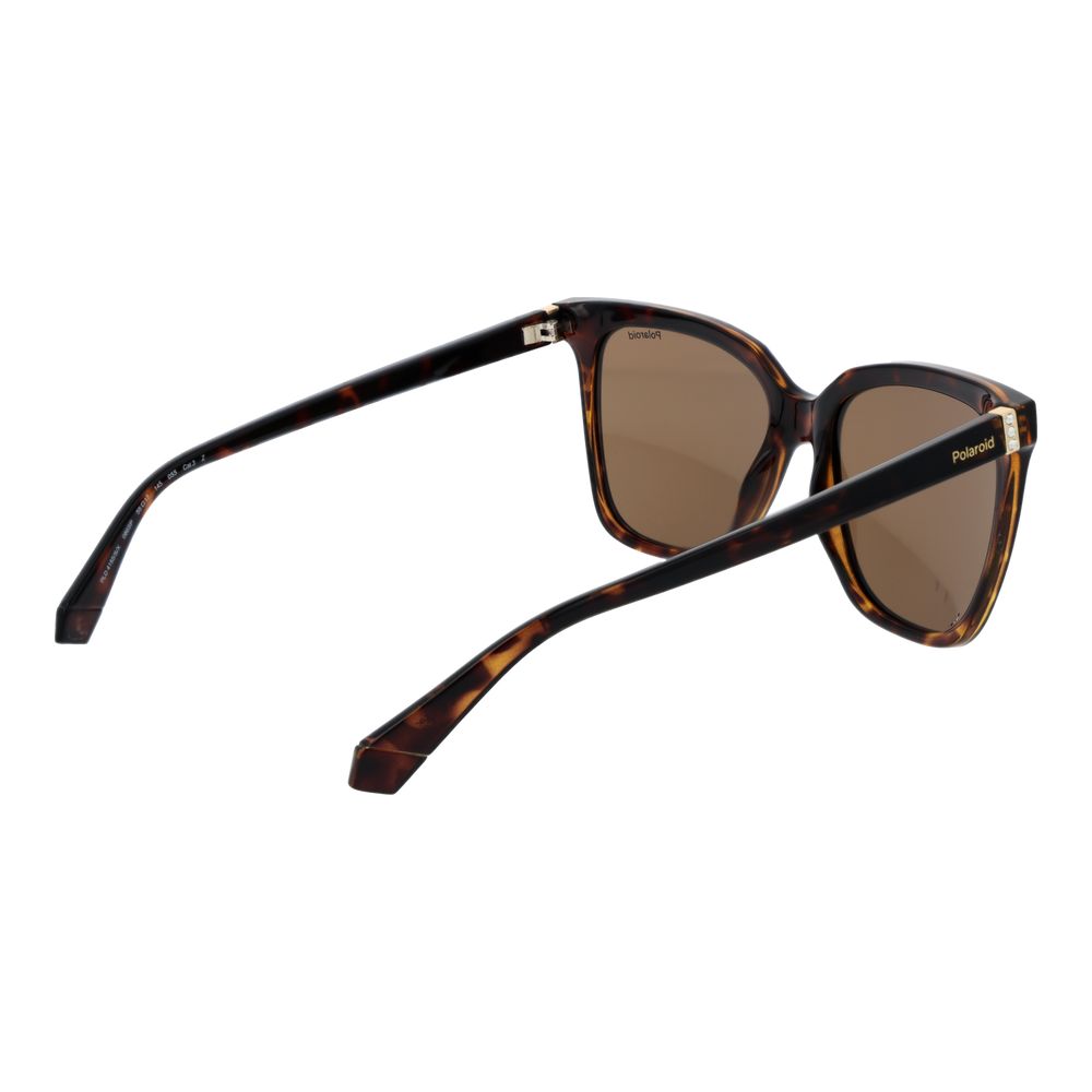 Polaroid Brown Polycarbonate Sunglasses | Regal Royce